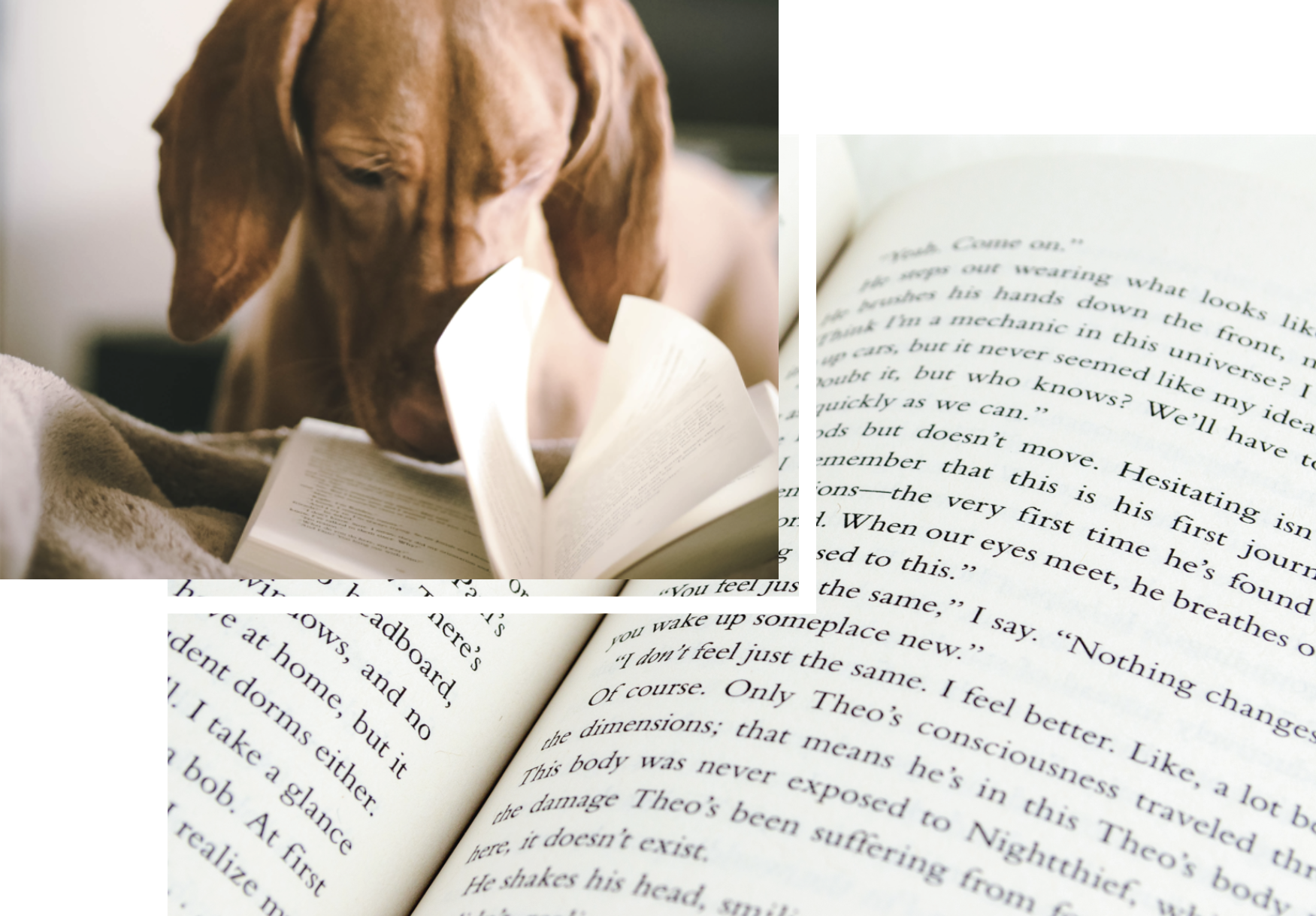 閱讀燈光情境圖